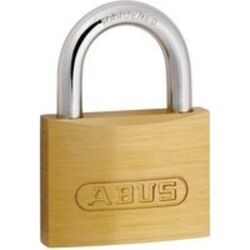 250_71350abus.jpg